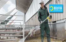 非洲豬瘟：通過高壓清洗機清潔預防